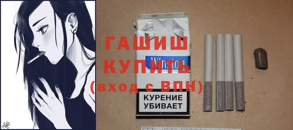 спиды Богородицк