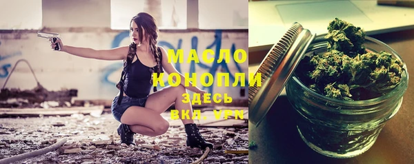 спиды Богородицк