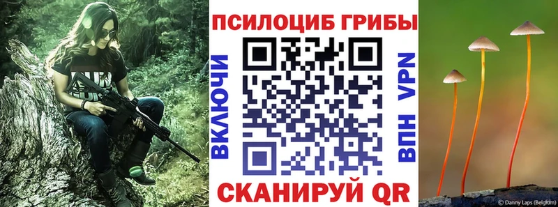 Псилоцибиновые грибы Psilocybine cubensis  мега как войти  Дегтярск 